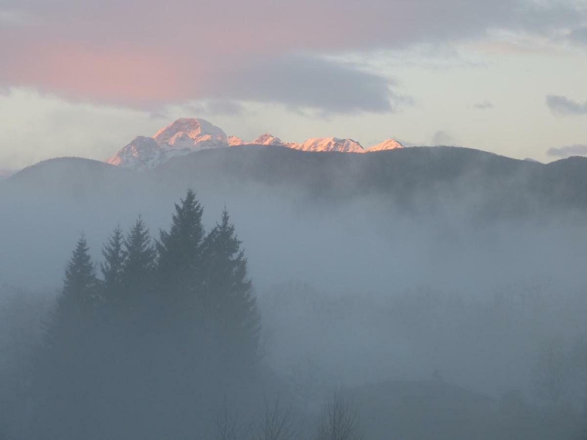Splendide Vue Pyrenees, Rez De Jardin 2 Chambres Montjoie-en-Couserans Bagian luar foto